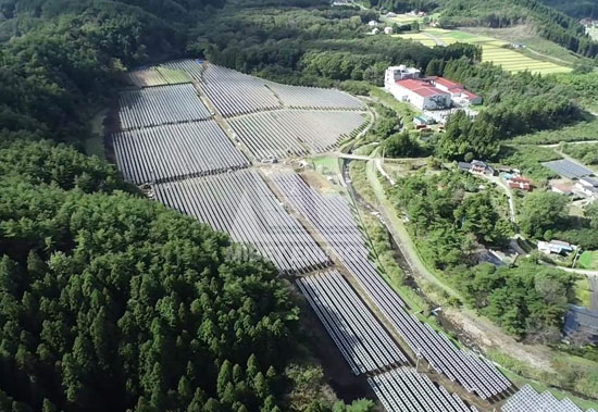 春回大地，邁貝特見證日本福島重煥生機