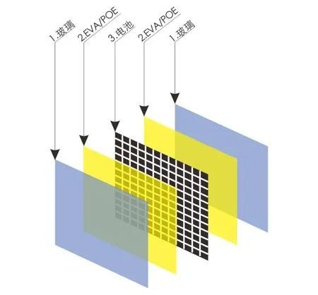 雙面雙玻光伏組件結(jié)構(gòu)圖